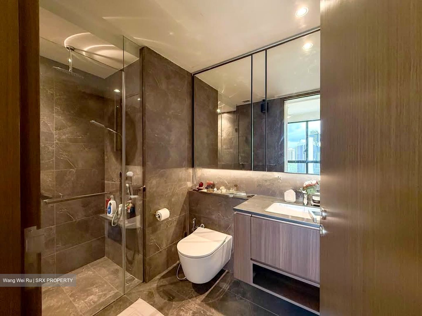 Kopar At Newton (D9), Apartment #565465431